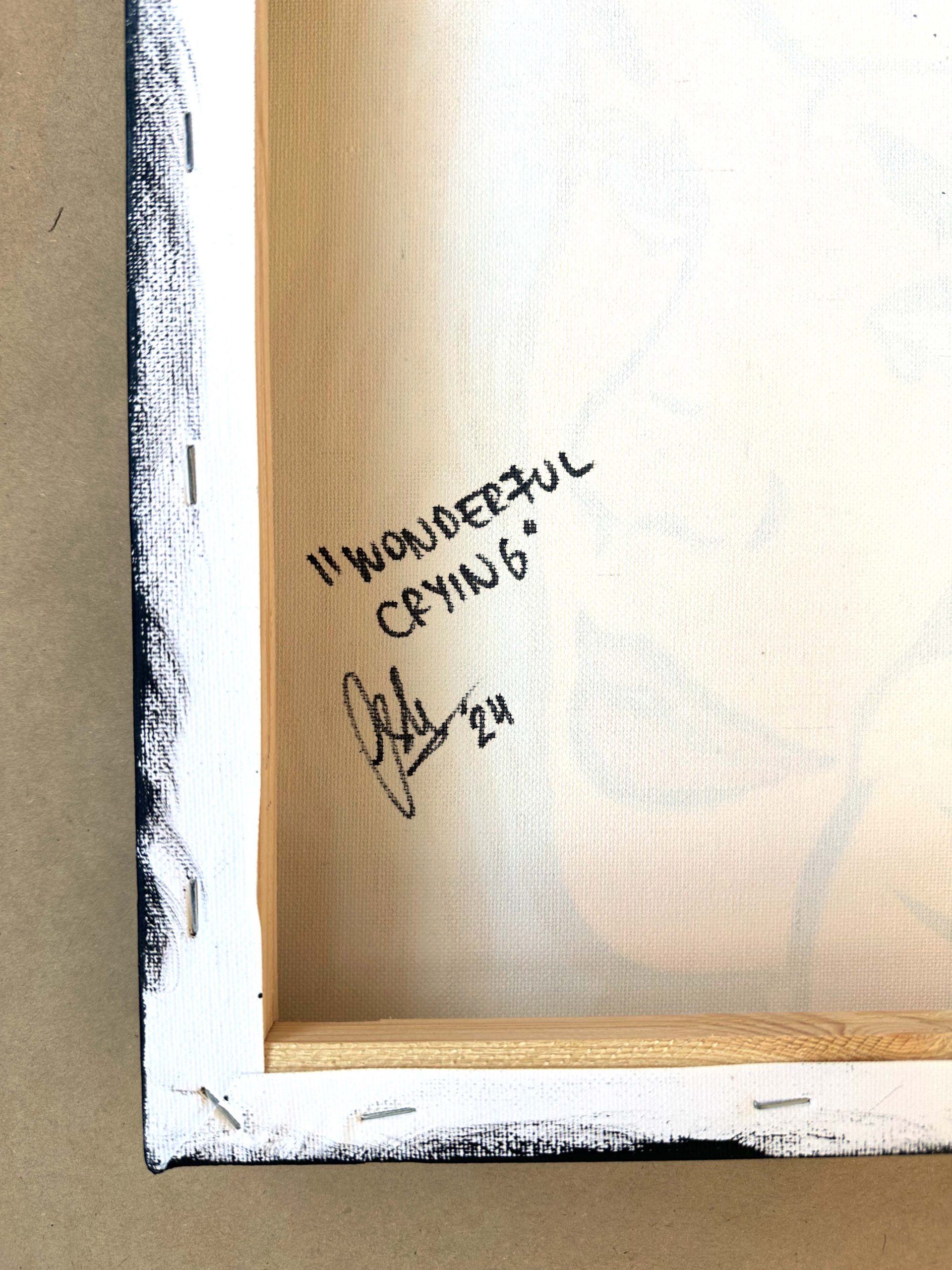 Wonder Woman Crying Wonderful Crying Pop Art Acrylic paint by Josh Mahaby gallery